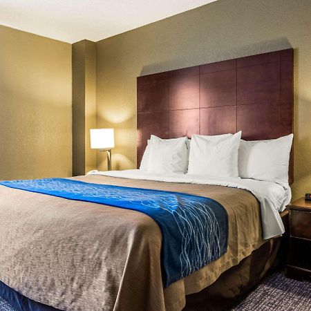 Comfort Inn Atlanta Downtown South Kültér fotó
