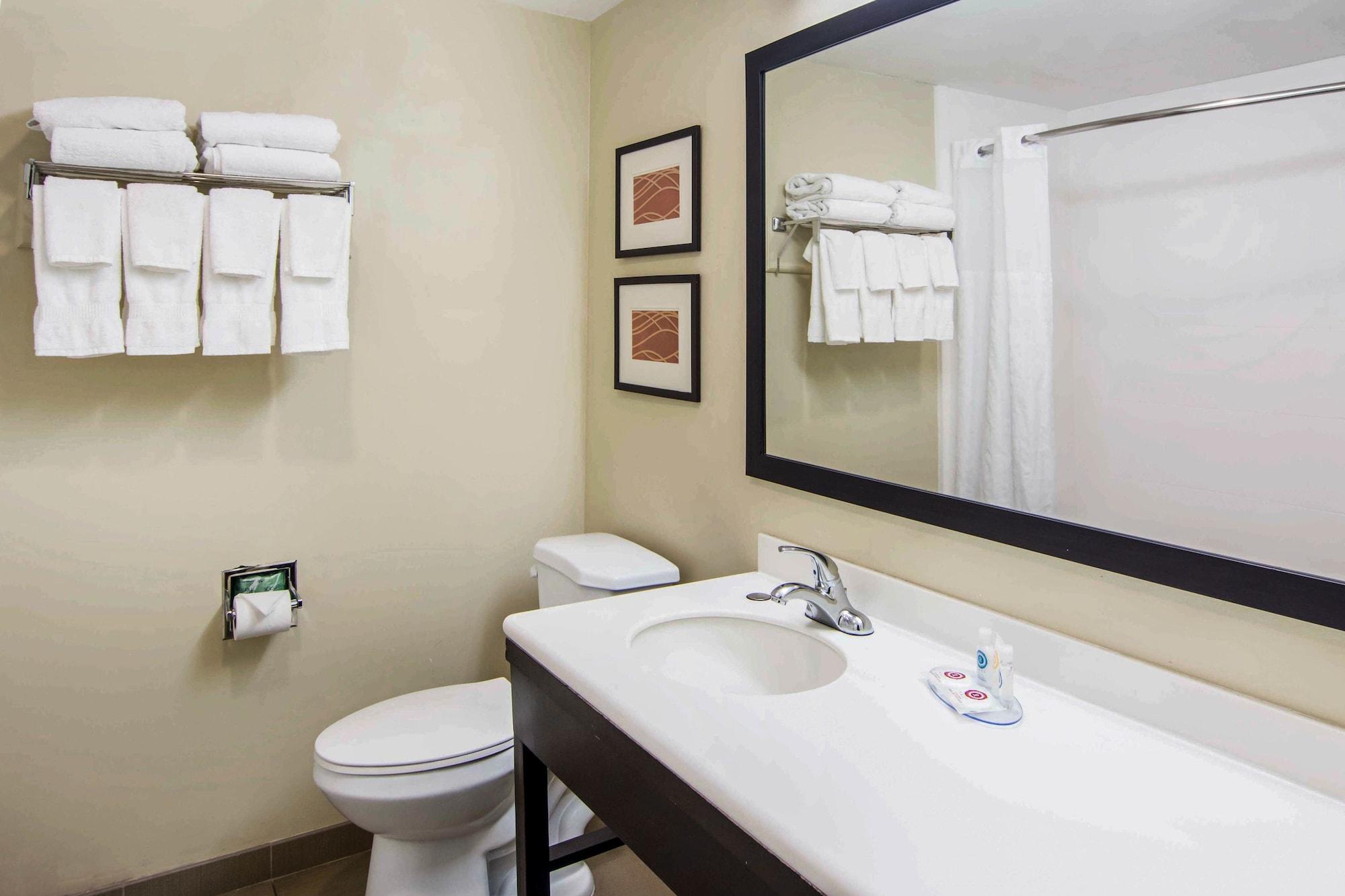 Comfort Inn Atlanta Downtown South Kültér fotó