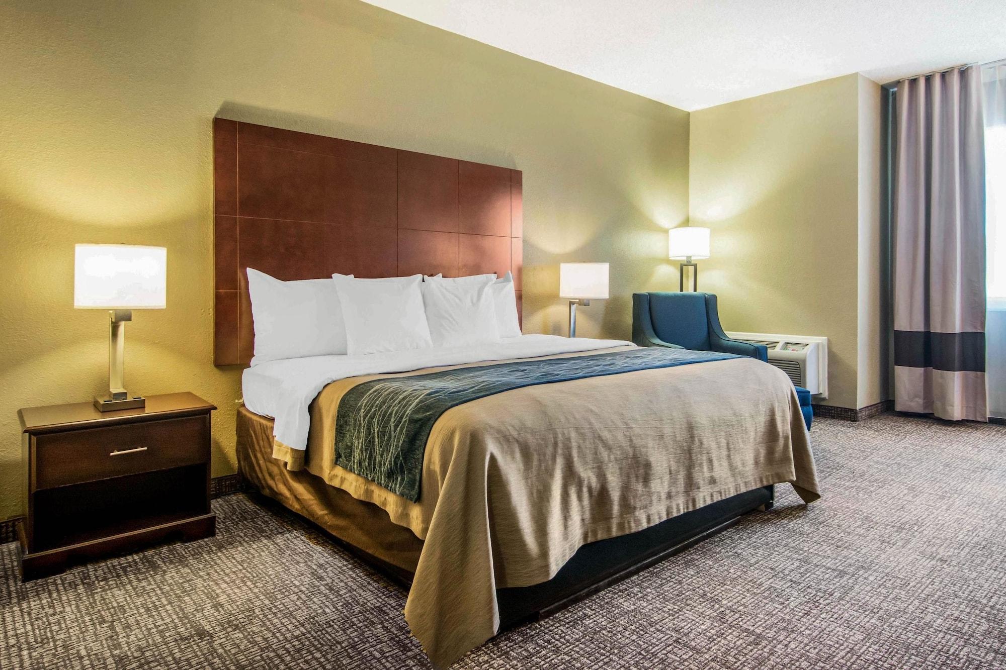 Comfort Inn Atlanta Downtown South Kültér fotó