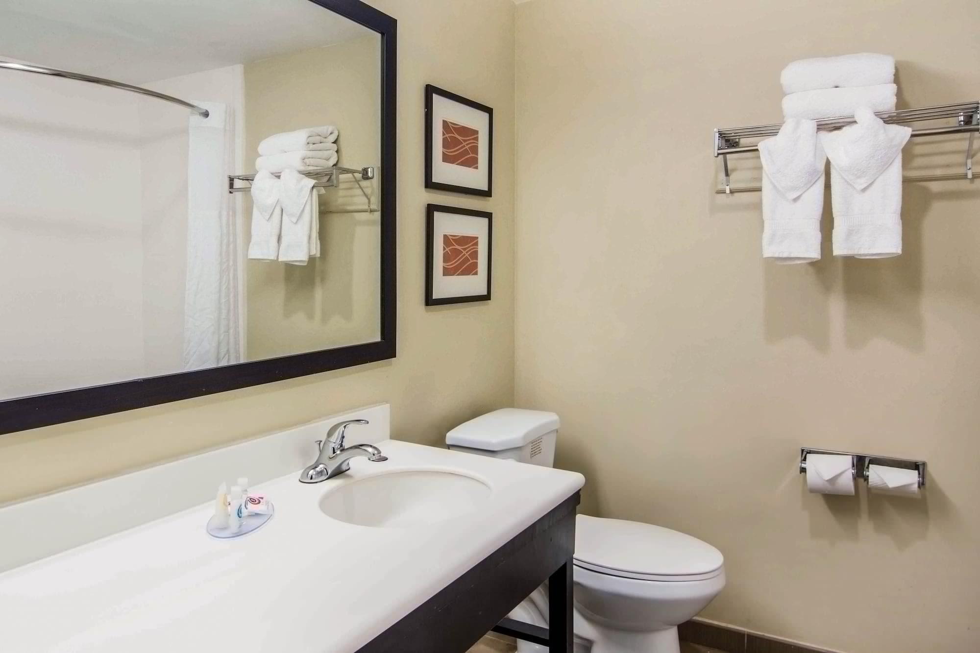 Comfort Inn Atlanta Downtown South Kültér fotó