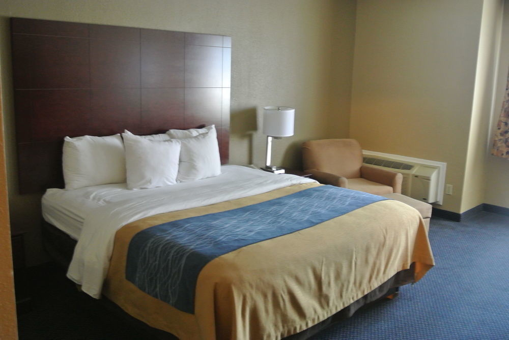 Comfort Inn Atlanta Downtown South Kültér fotó