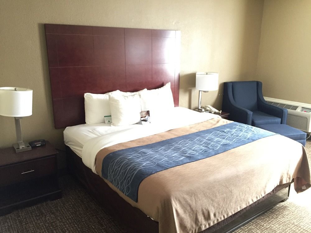 Comfort Inn Atlanta Downtown South Kültér fotó