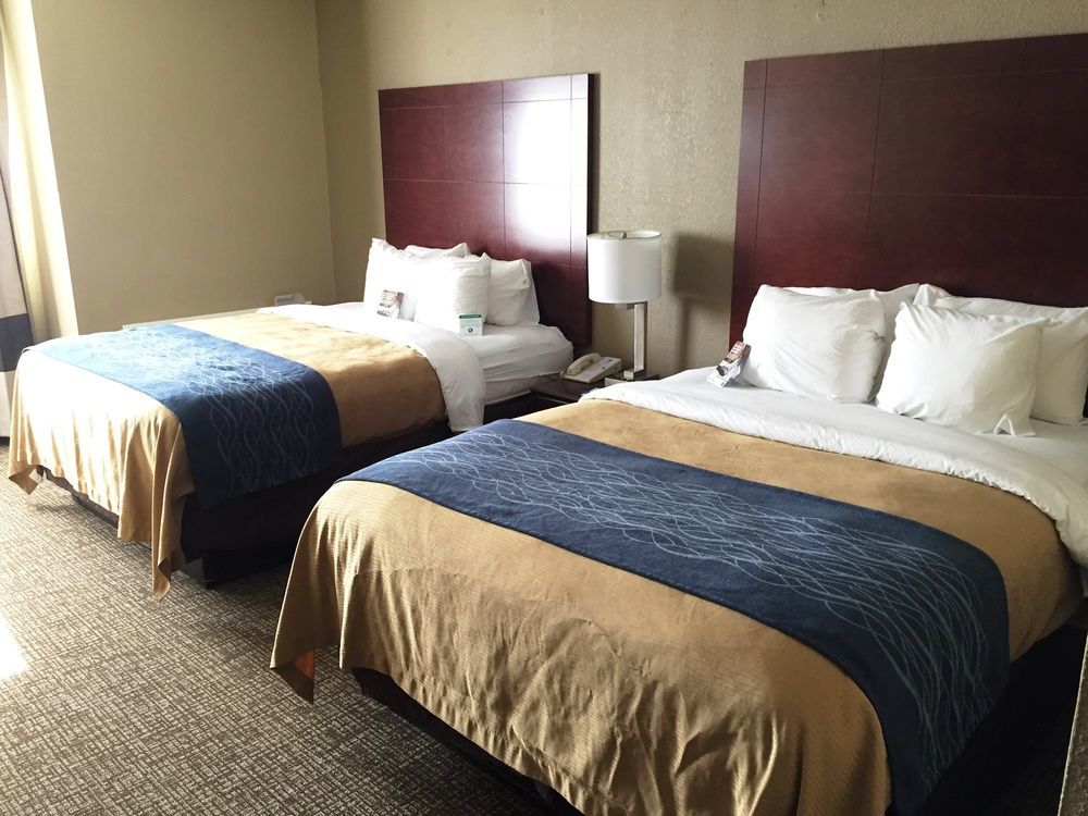Comfort Inn Atlanta Downtown South Kültér fotó