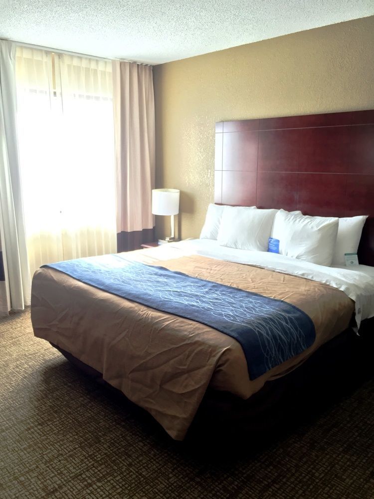 Comfort Inn Atlanta Downtown South Kültér fotó