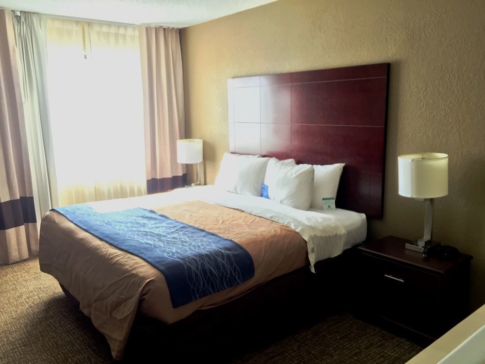 Comfort Inn Atlanta Downtown South Kültér fotó