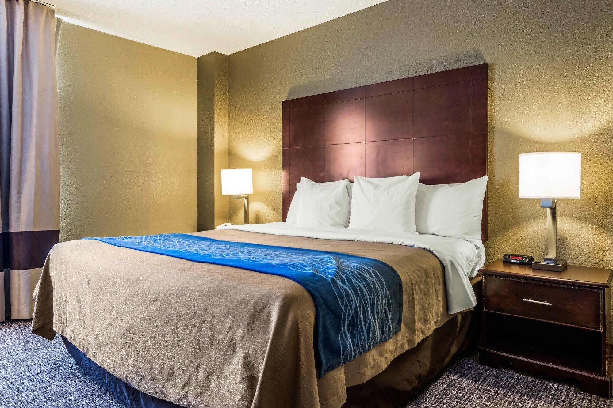 Comfort Inn Atlanta Downtown South Kültér fotó