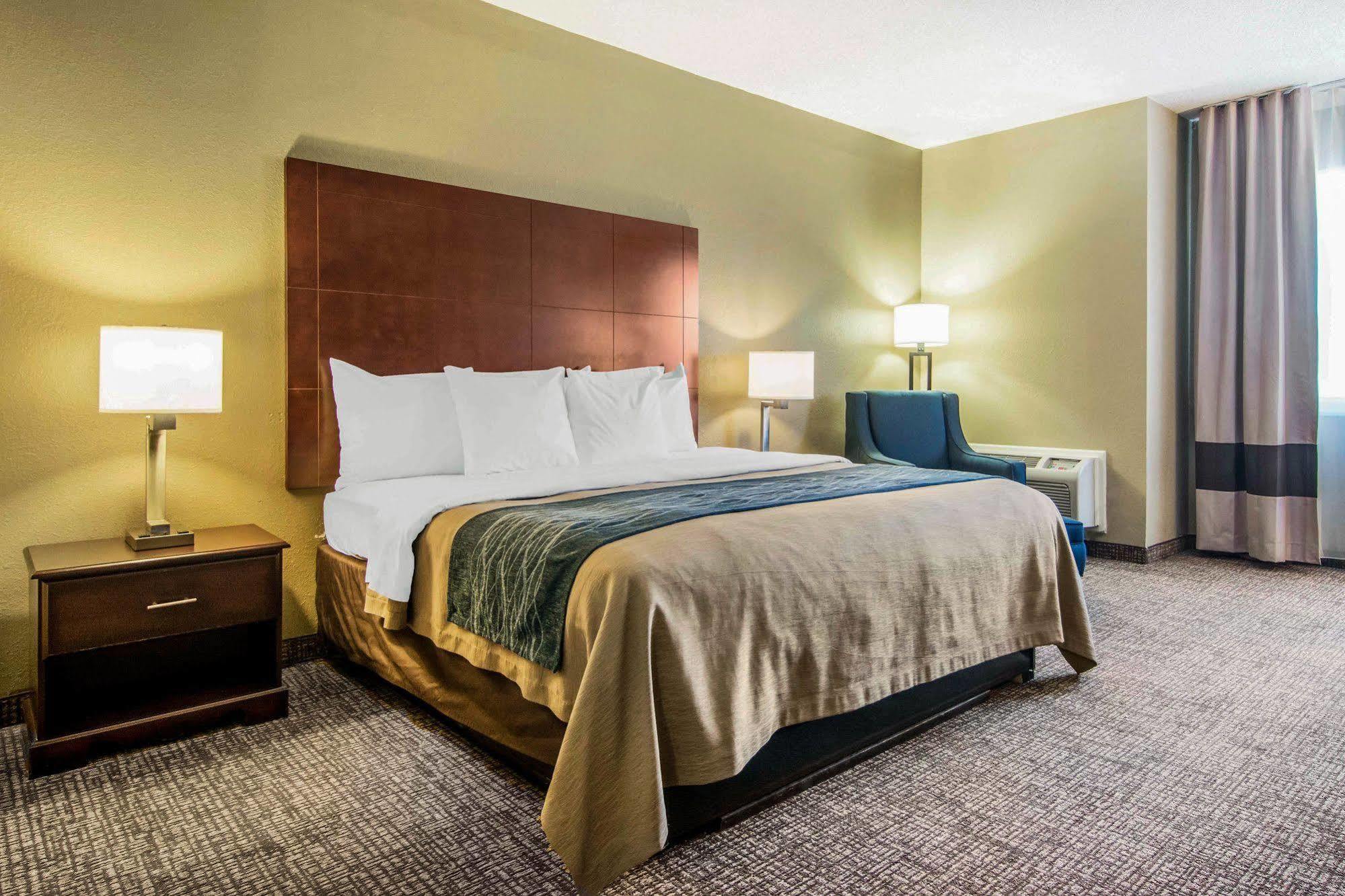 Comfort Inn Atlanta Downtown South Kültér fotó
